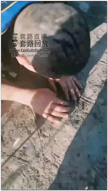 【套路吴迪】野外暴力