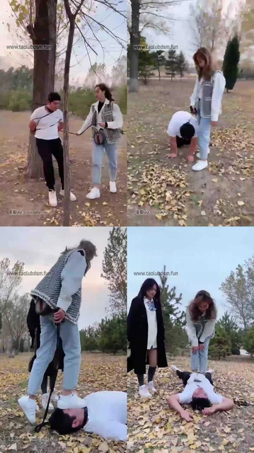 【二宝】无法预知的遛狗计划