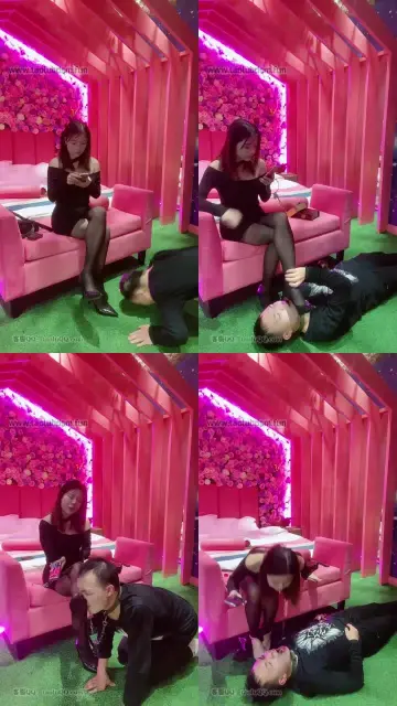 【猫咪大大s】rs开发18岁智商只有8岁的狗