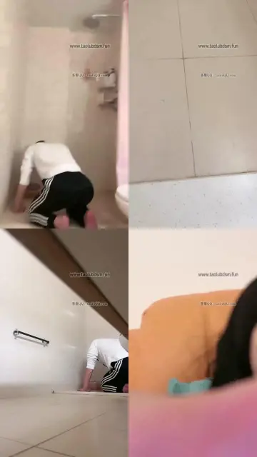 【奈奈】开发马桶