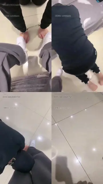 【微甜S】羞辱发情的公狗