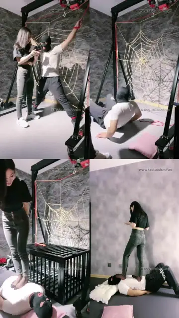 【冷凝大大】落网之狗