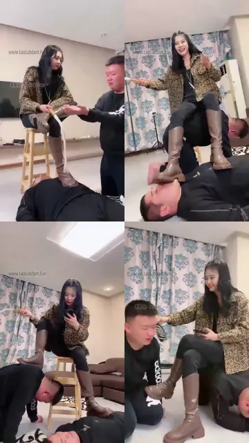 【初见】暴力回归