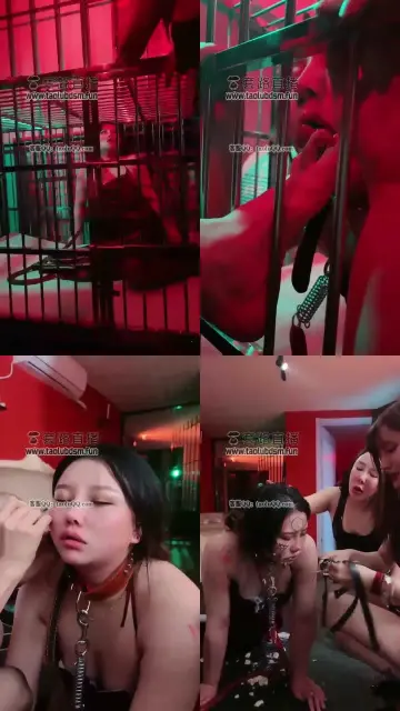 【莉莉丝】开发新奴