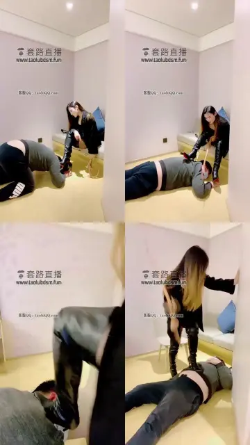 【芮汐】主人的宠爱