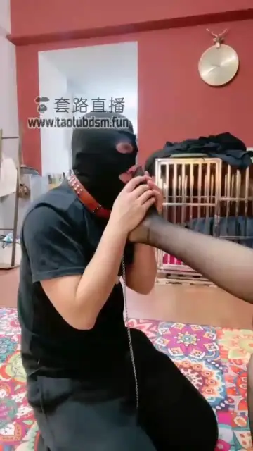 【小祖宗】世界上最蠢的奴才