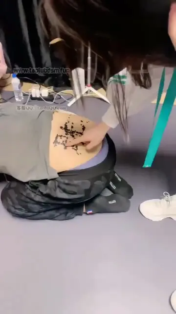 【冷凝】好好的玩新狗