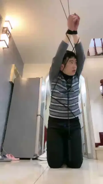 【桃幼幼】狗狗的圈养生活