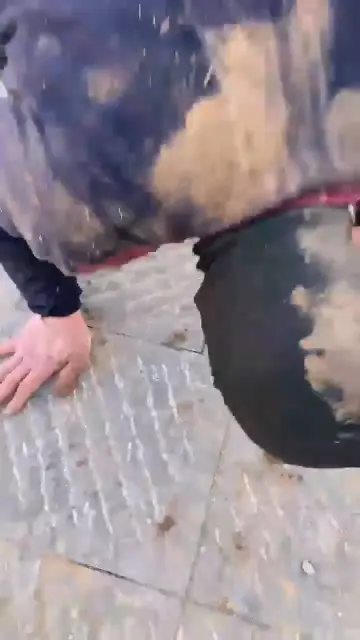 【星染】户外泥地暴揍