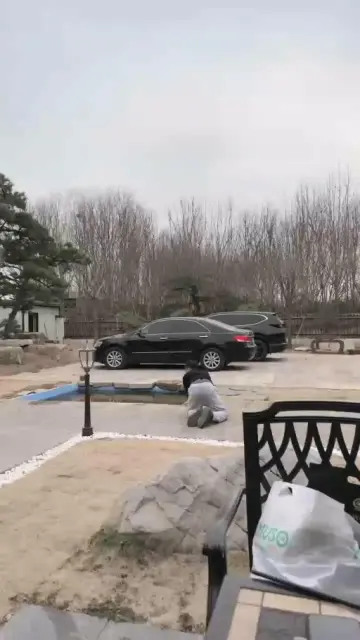 【宸宸】家奴的一天1