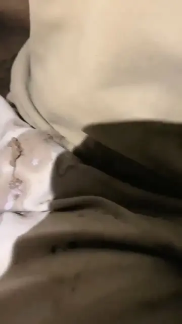 【沅芷】户外调教羞辱舔鞋