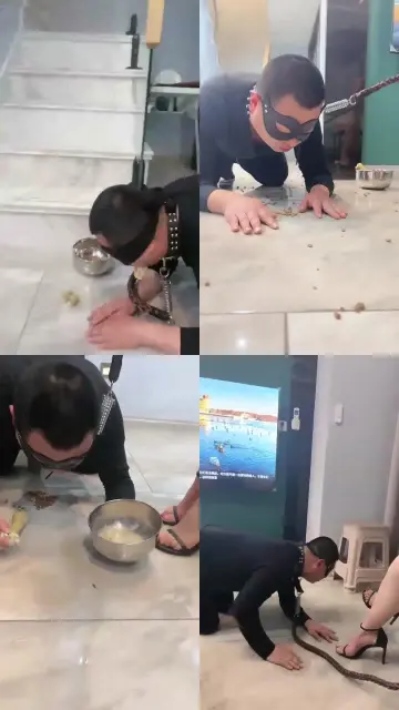 【妆主大大】圈养