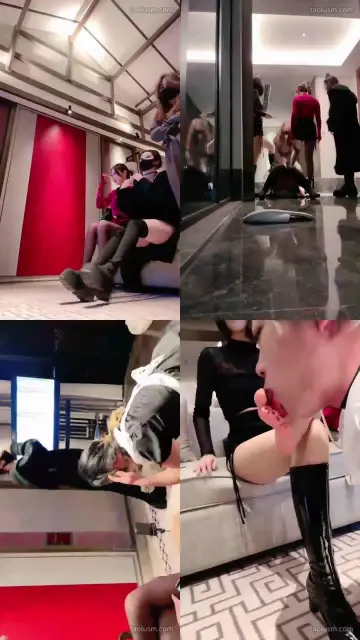 【维因】四姐妹与仆人