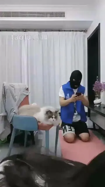 【安琪】情侣奴的修炼计划