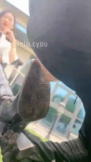 【沅芷】清理鞋底