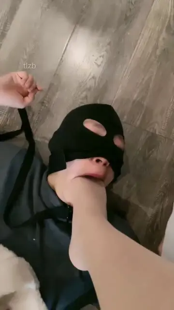 【小雅】开发小学弟