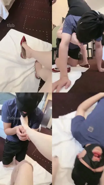 【安主】工具狗