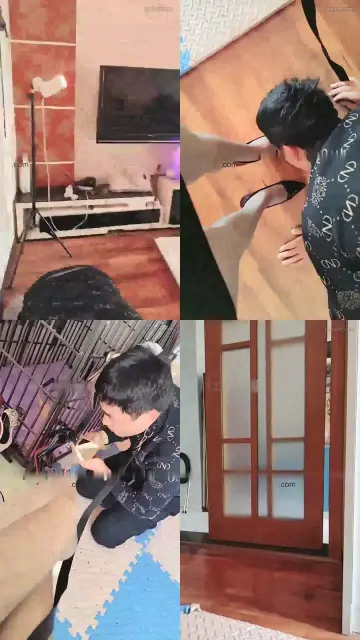 【刘二狗】沦为金融白领的家奴