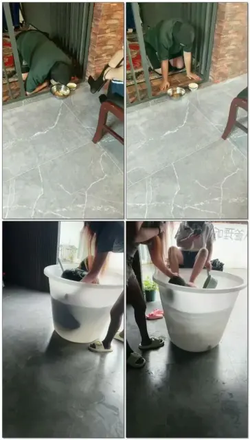 【圈养基地】喂贱狗吃东西