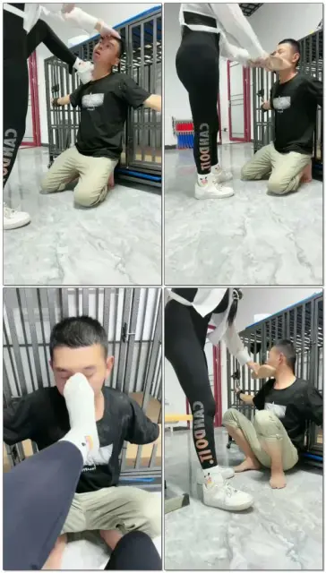 【喵主S】TJ耳光调教贱狗