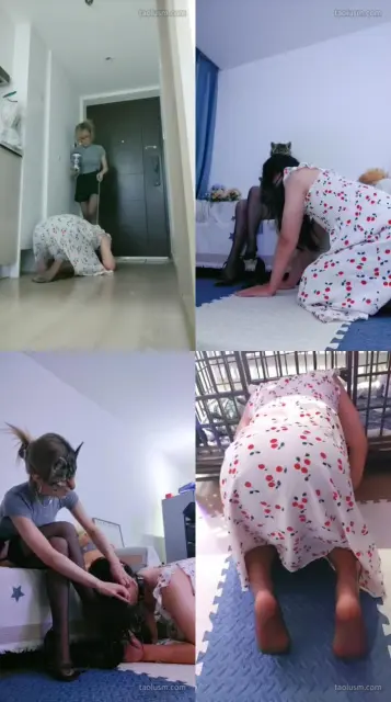 【喵酱紫S】家奴日常调教鞭打