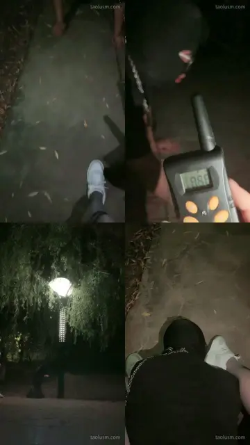 【语阳】带狗子户外玩咯