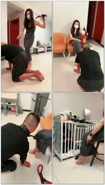 【蜜雪s】TJ圈养狗日常