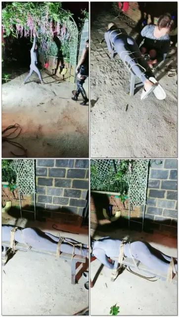 【圈养基地】花园重度踢裆重度鞭打