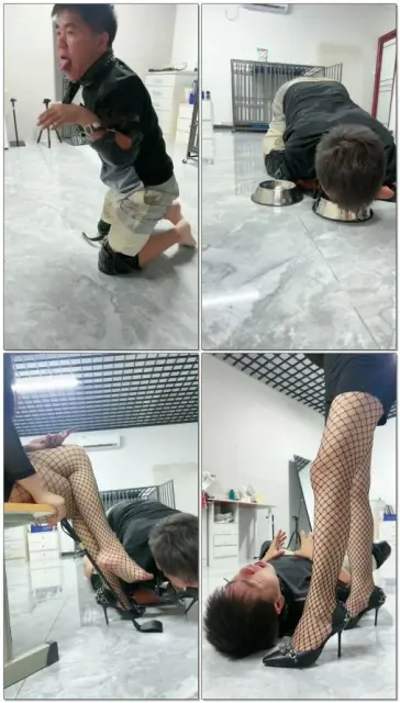 【喵主S】K9犬化中级