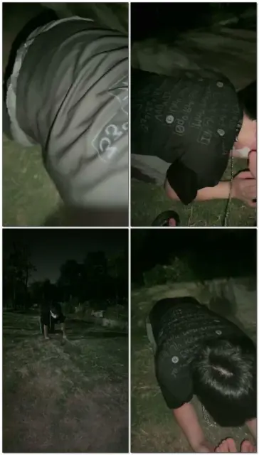 【小九斯s】晚上遛条狗玩玩草丛狗爬