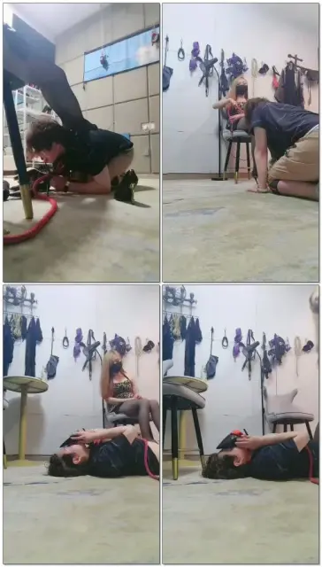 【依依东望】来上课的m