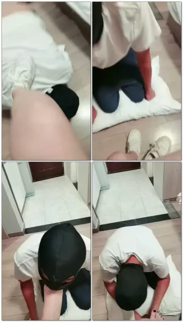 【优优S】板鞋玩狗