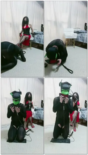 【南京冰炫女司】无脑羞辱苟奴