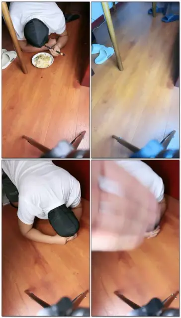 【语小心夫妻S】家奴日常怎么进食