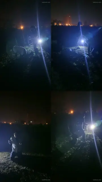 【晨颜s】TJ夜晚的野外活动遛狗鞭子暴打骑马