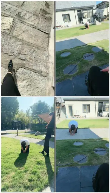 【沅芷】户外调狗