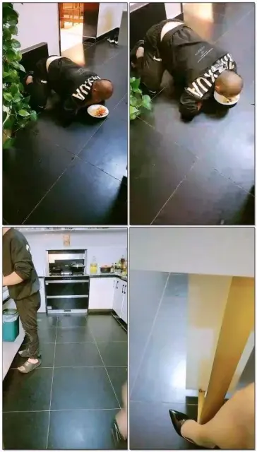 【烟雨S】玩狗子