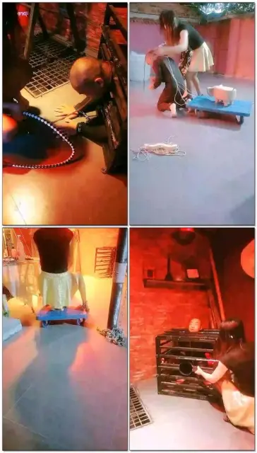 【烟雨S】乔家做客玩狗子