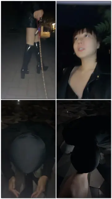 【沈阳璋爷s】户外调狗（下）