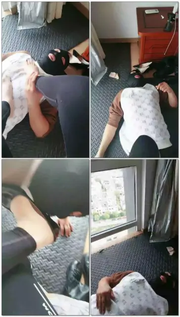 【江阴朱老师】狗狗千里来调教