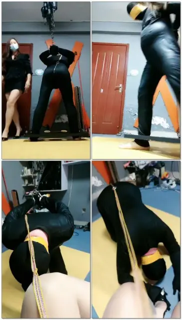 【东营天香百合】建构又迟到