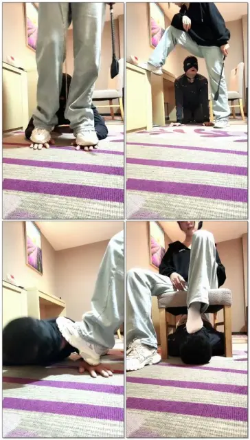 【乔伊】欺负老狗文文