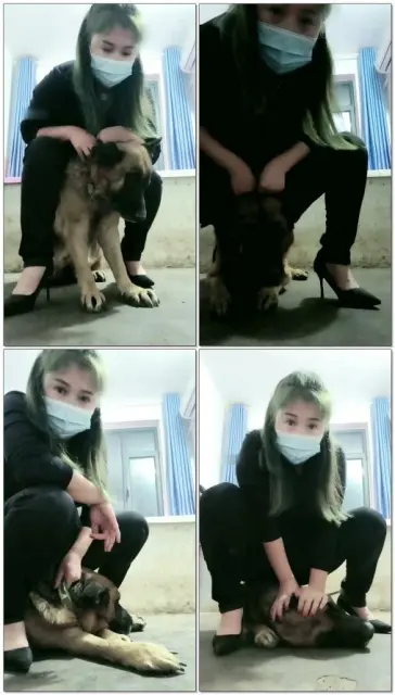 【青竹S】无聊骑个真狗