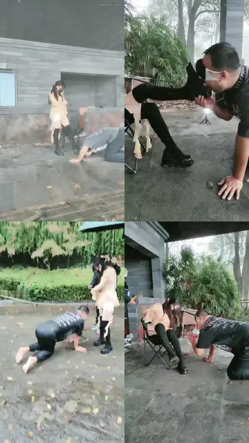 【重庆伊晨s】雨天户外训狗偶遇路人经过