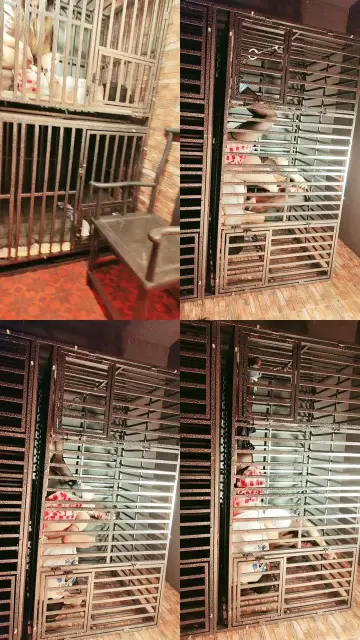 【圈养基地】捆绑CD奴囚禁虐