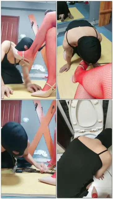 【东营天香百合】舔马桶的贱货