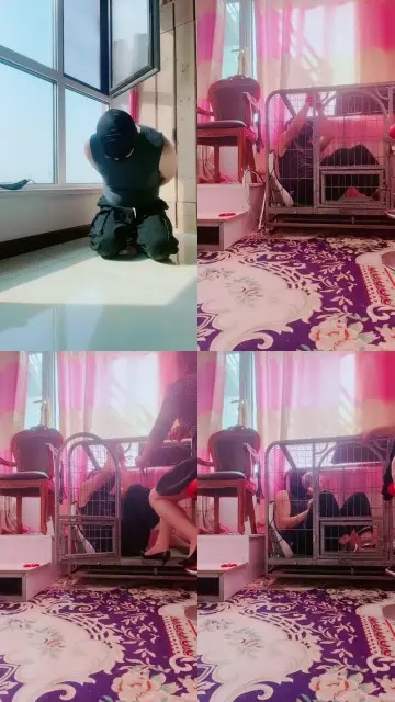 【媚朵S】袜子口球塞嘴狗笼囚禁