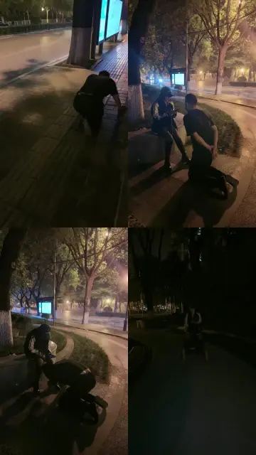 【傲雪】深夜户外遛狗犬化训练