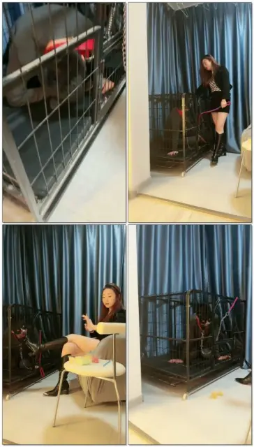 【语阳】圈养全程狗笼子踩食水果