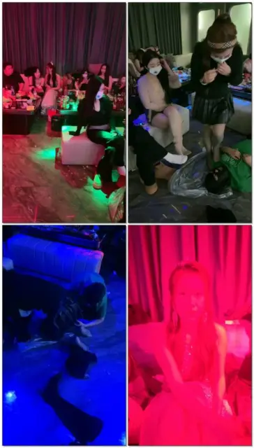 【冰语s】生日宴调奴下奴